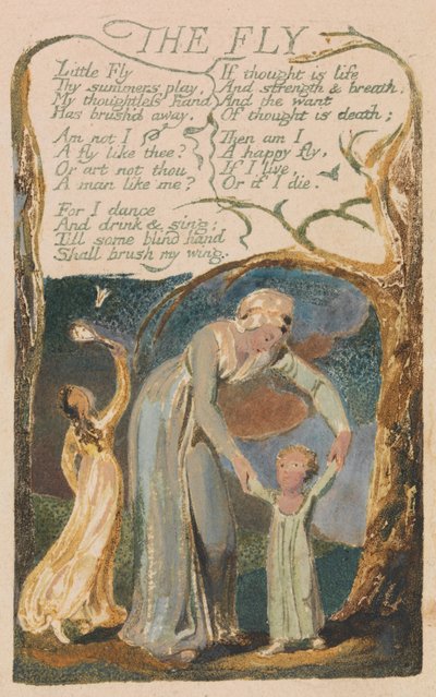 Songs of Innocence and of Experience, Plate 48, The Fly (Bentley 40) by William Blake